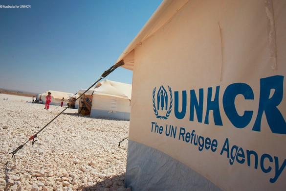 tienda azul del refugiado de la O.N.U de la tienda de la ayuda humanitaria 12M2